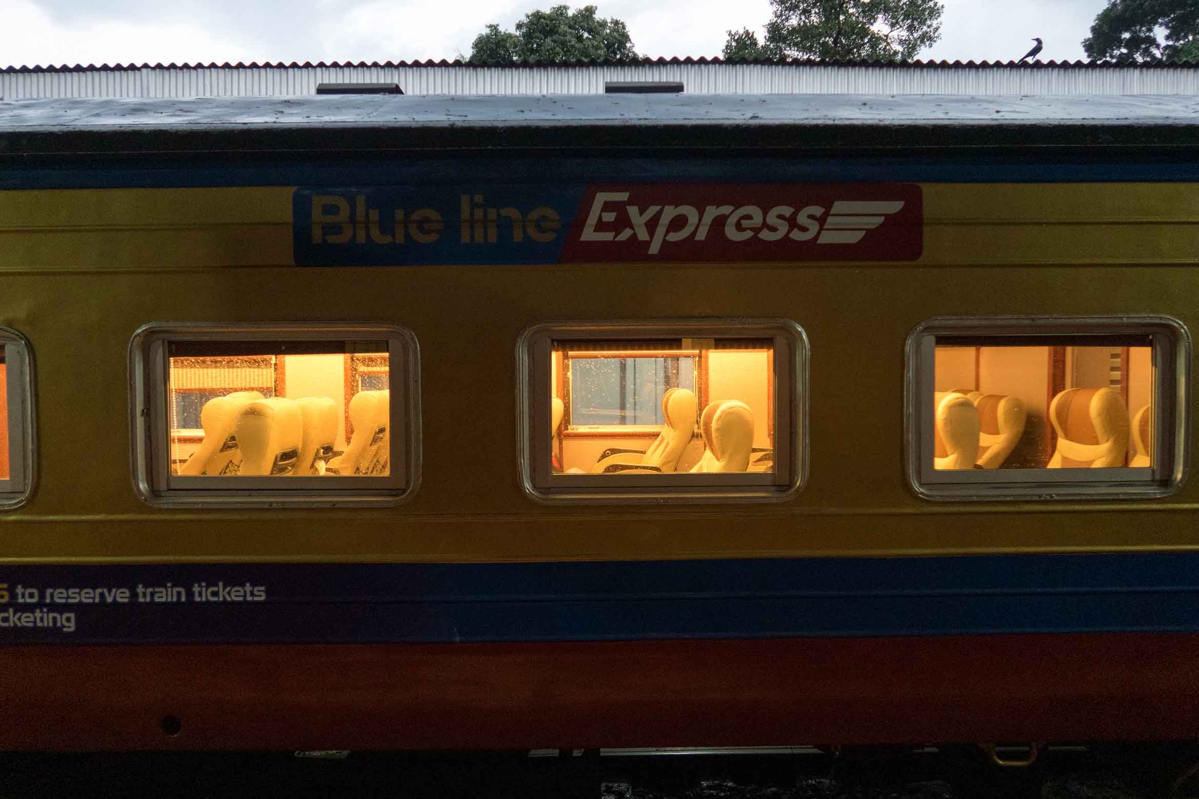 Blue Line Express Reviews, Schedule and Tickets Booking