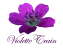 Violette Express Train