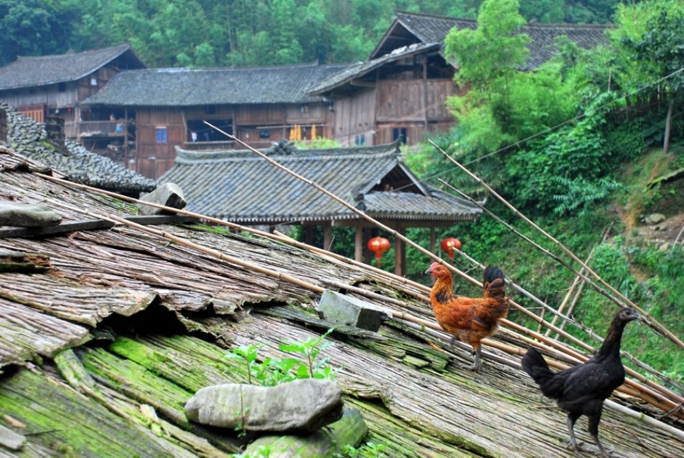 China – Houses in Kaili