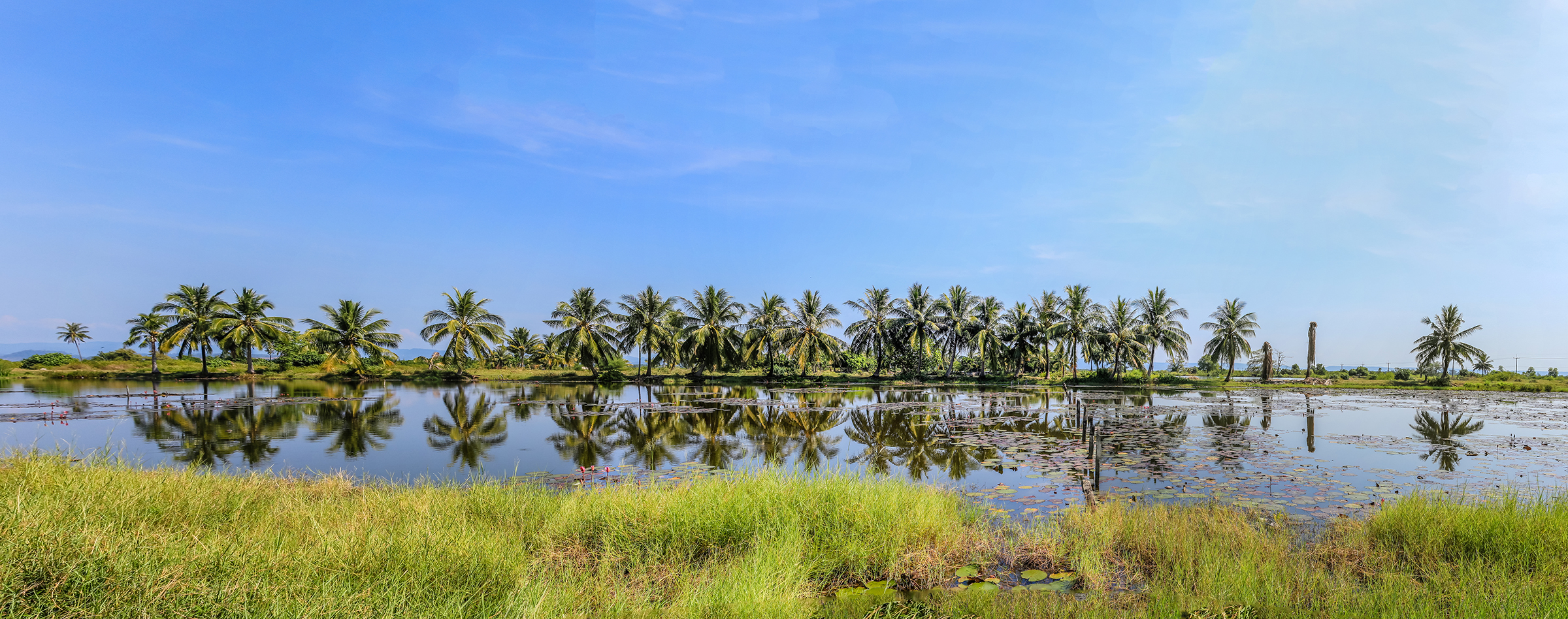 From Bangkok to Angkor Wat Book Transport Tickets from THB 648